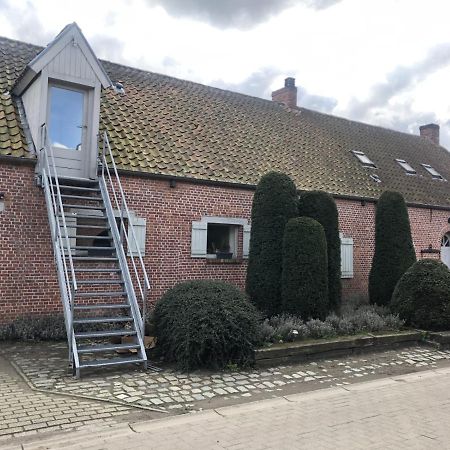 Slapen Bij Alpacas Apartment Beerse Luaran gambar
