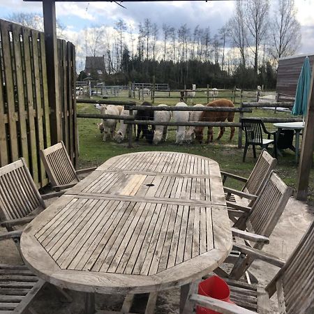 Slapen Bij Alpacas Apartment Beerse Luaran gambar