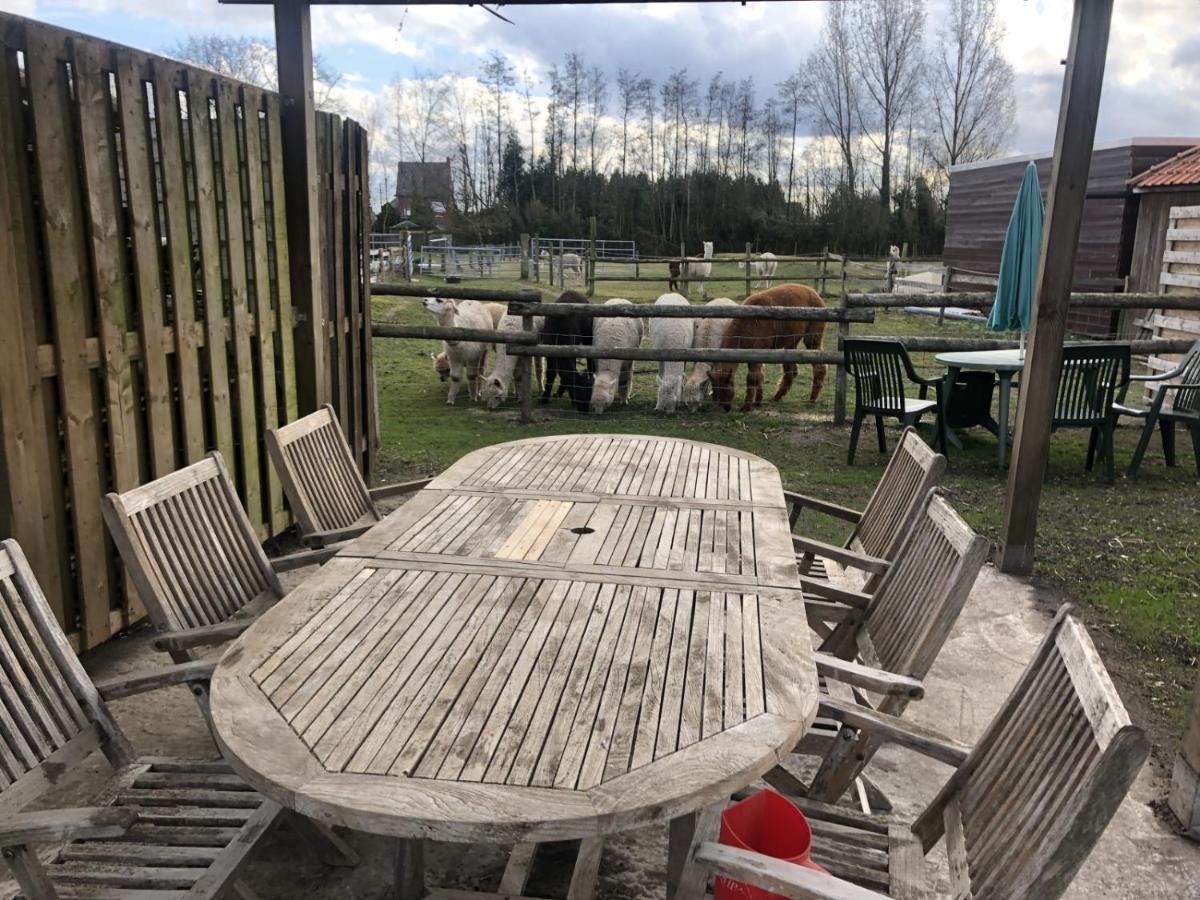 Slapen Bij Alpacas Apartment Beerse Luaran gambar