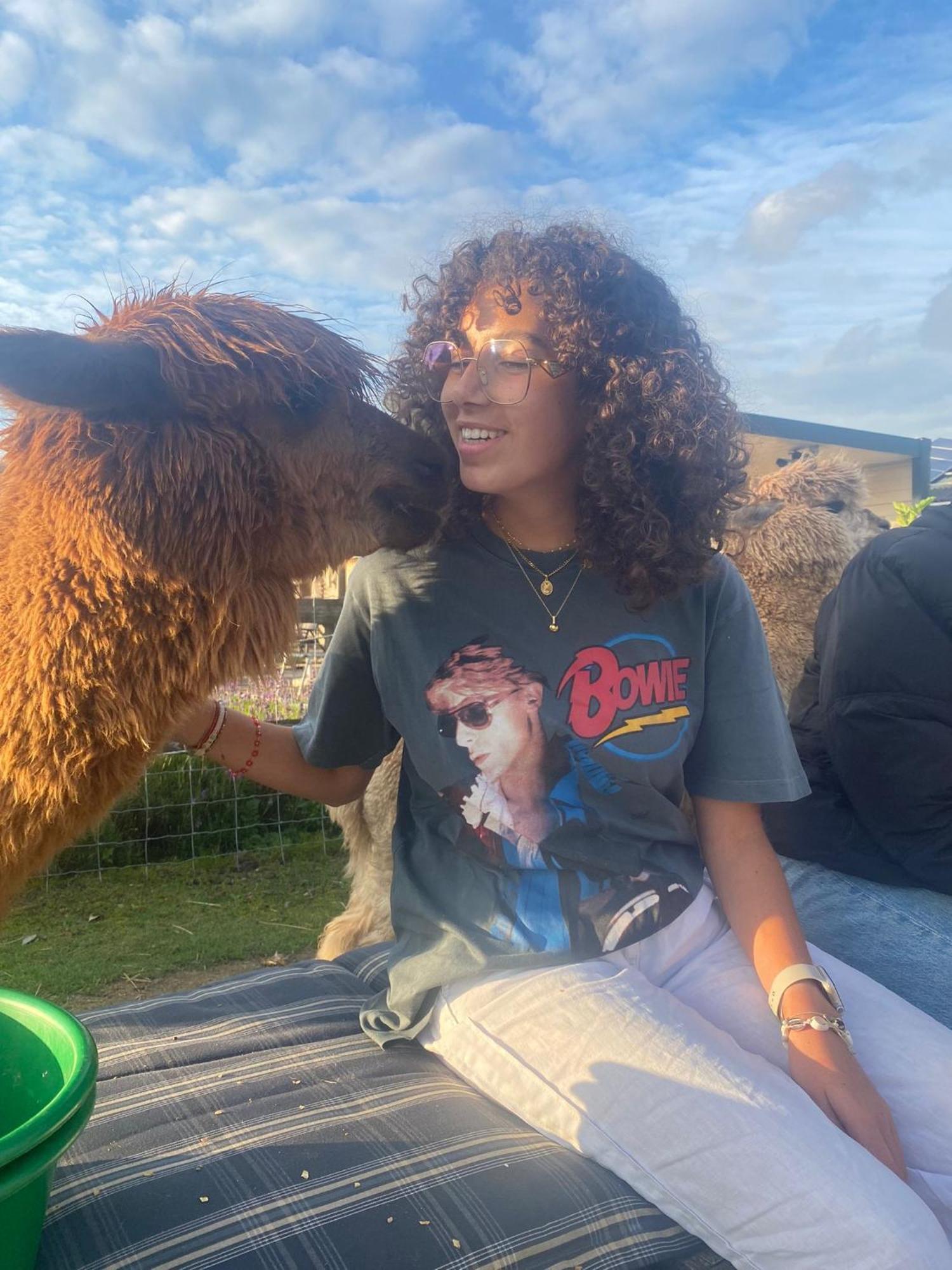 Slapen Bij Alpacas Apartment Beerse Luaran gambar